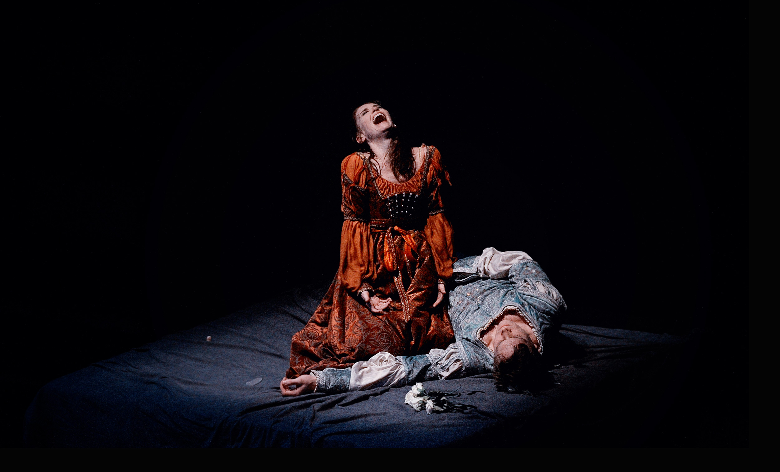 alison-mcwhinney-website-deep-header