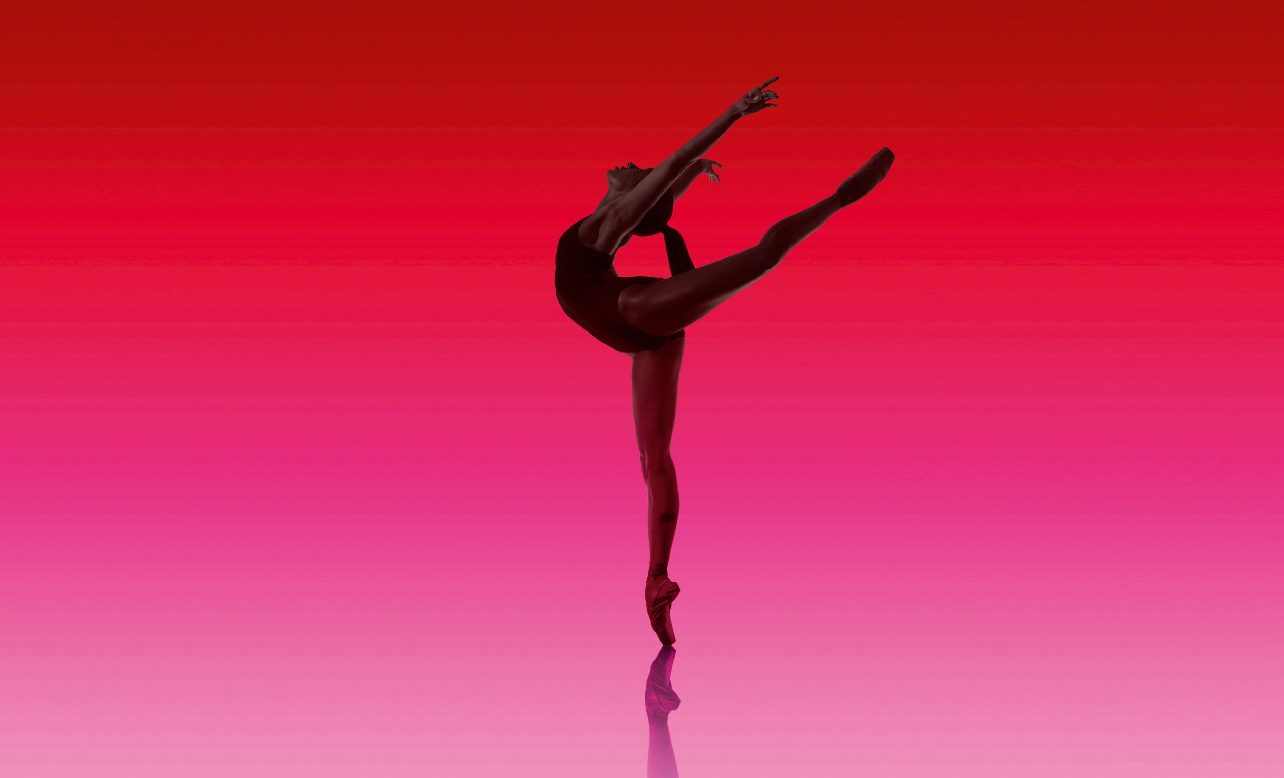 Precious-Adams-1-photo-Perry-Curties-Art-Direction-and-Design-Charlotte-Wilkinson-Studio
