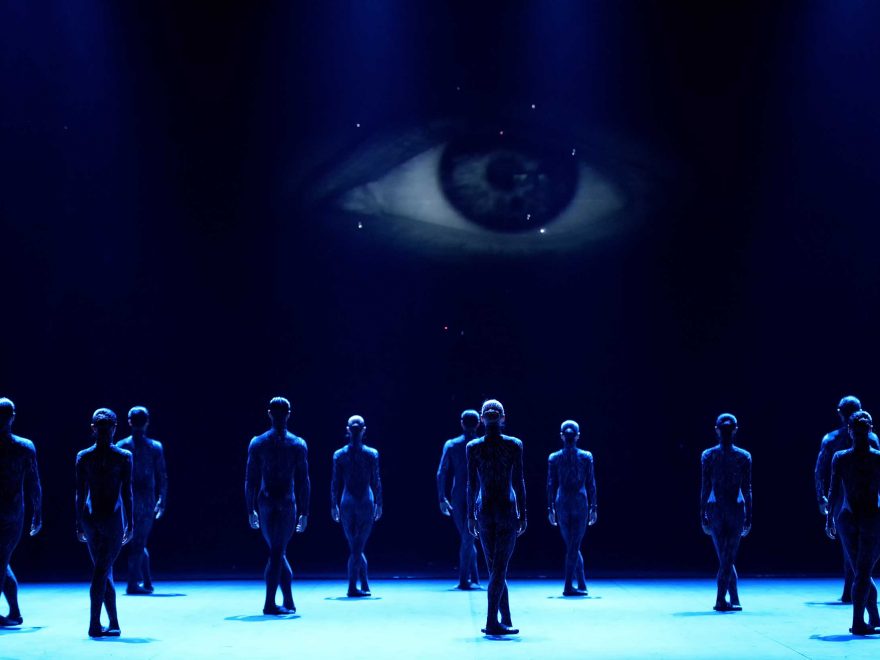Fantastic-beings-(c)-Laurent-Liotardo-2500px---for-web