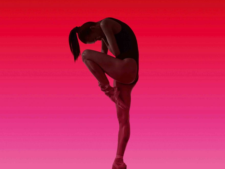 Jia-Zhang-1-photo-Perry-Curties-Art-Direction-and-Design-Charlotte-Wilkinson-Studio