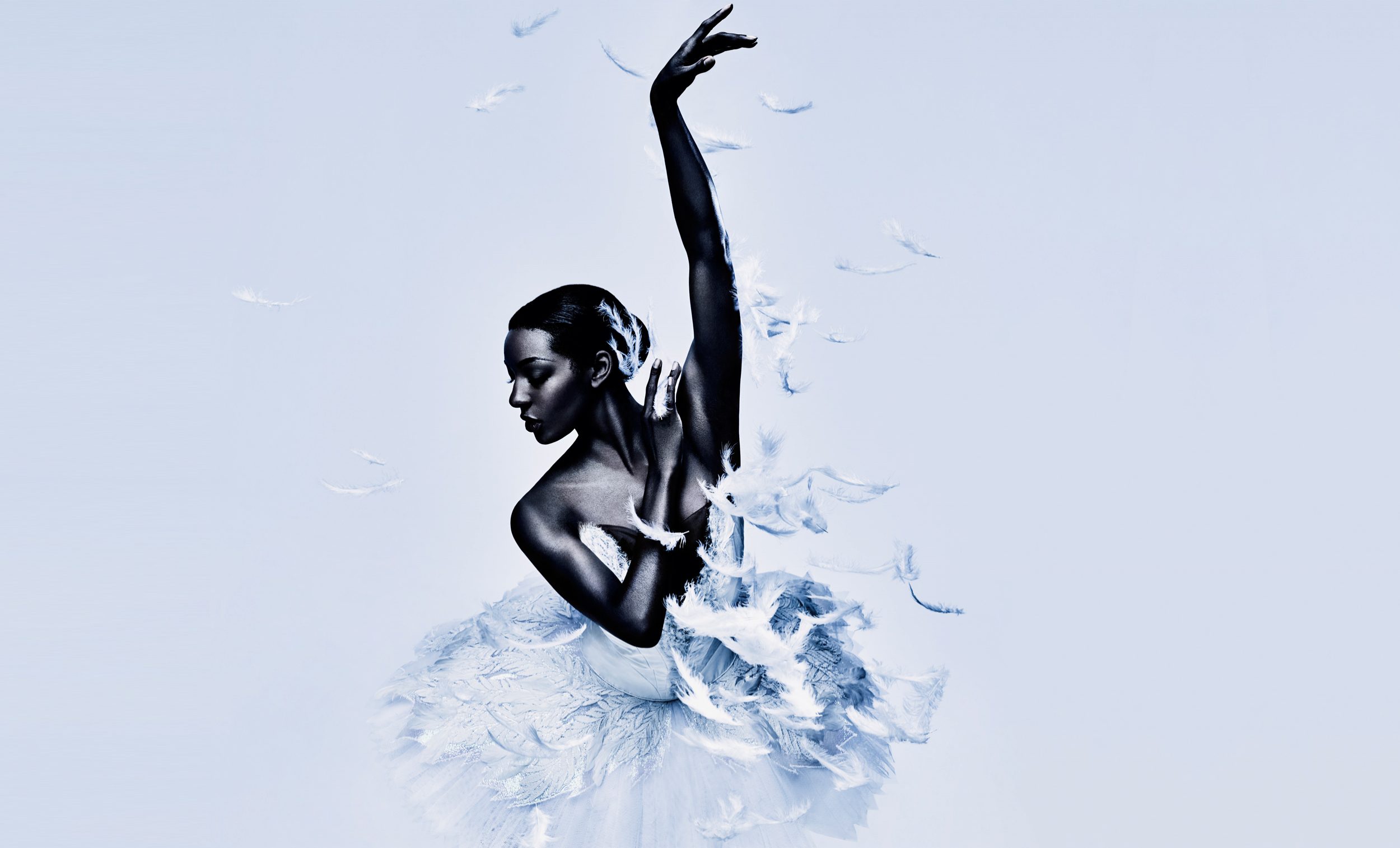Swan Lake © Jason Bell