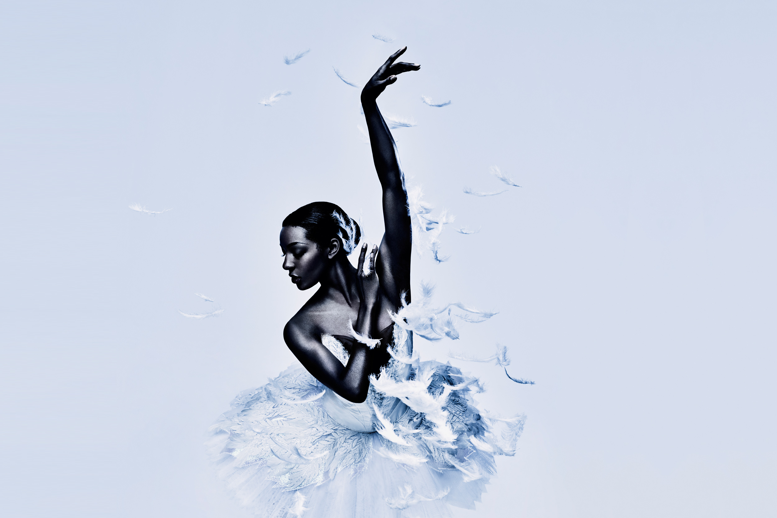 swan lake english national ballet