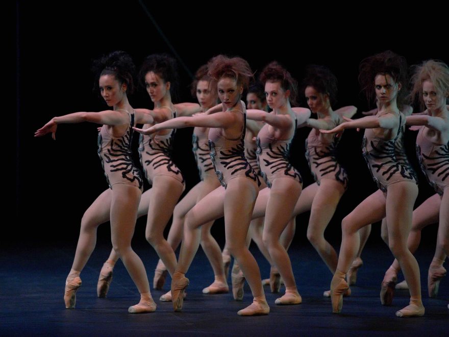 English-National-Ballet-in-The-Cage-by-Jerome-Robbins-©-Laurent-Liotardo-(3)