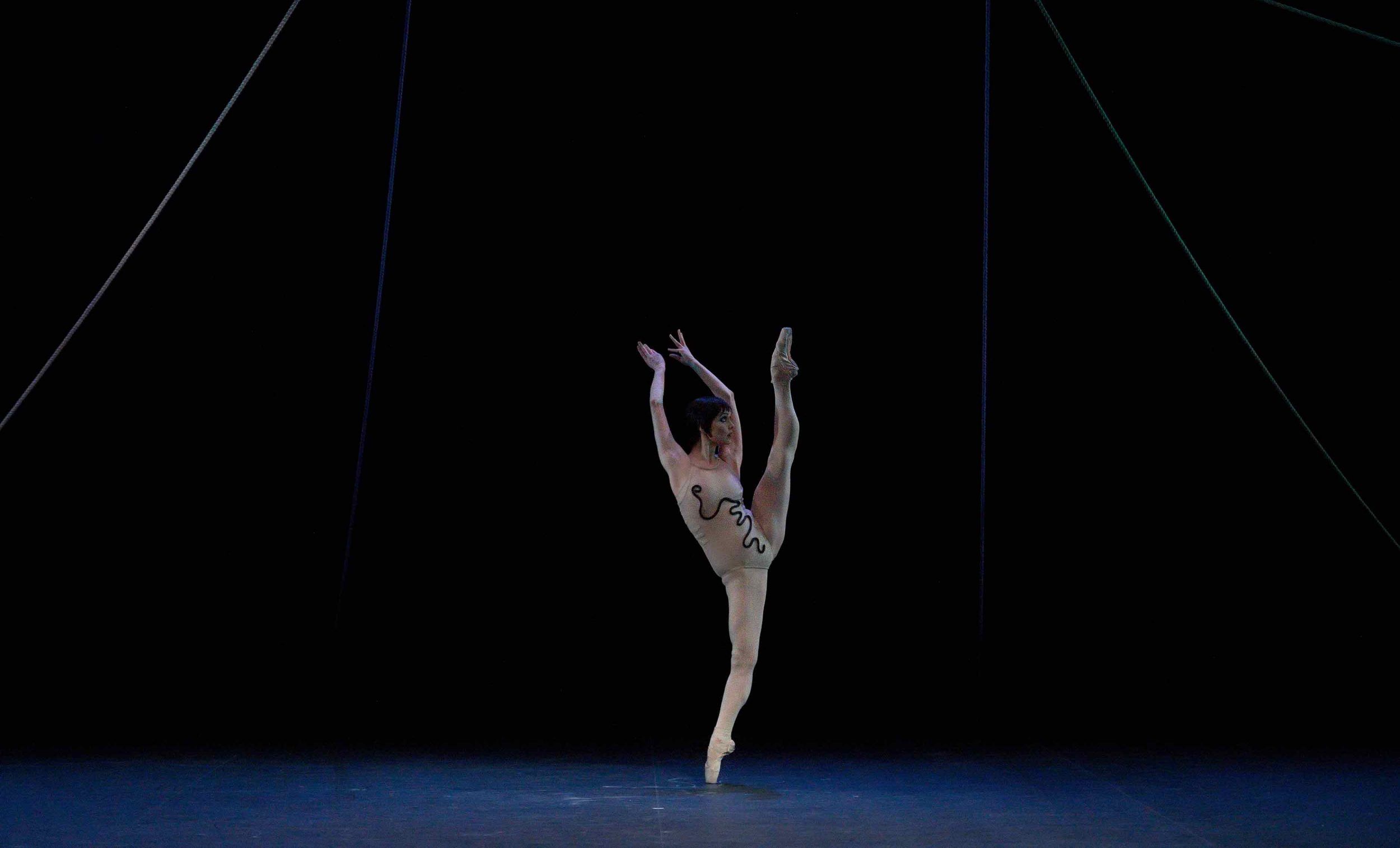 Jurgita-Dronina-in-The-Cage-by-Jerome-Robbins-©-Laurent-Liotardo