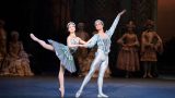 Rina Kanehara, Daniel McCormick-The Bluebird and Princess Florine in The Sleeping Beauty (c)Laurent Liotardo