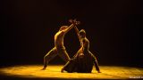 English National Ballet's Lest We Forget-Tamara Rojo and James Streeter in Dust by Akram Khan (c) Laurent (2)_TWITTER