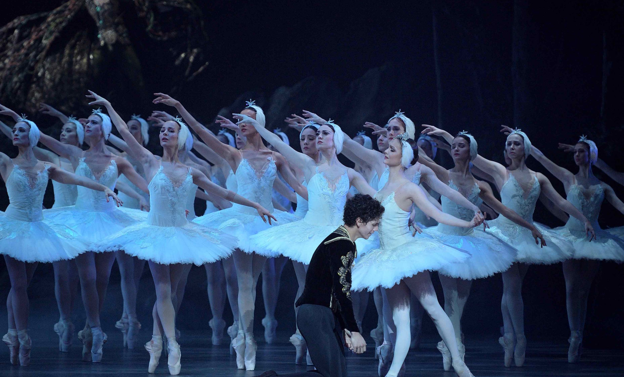 English-National-Ballet-in-Swan-Lake-©-Laurent-Liotardo-(9)_WEB