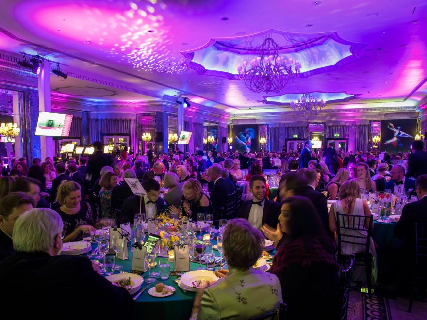 Spring Gala 2018 at The Dorchester, Park Lane © David Jensen