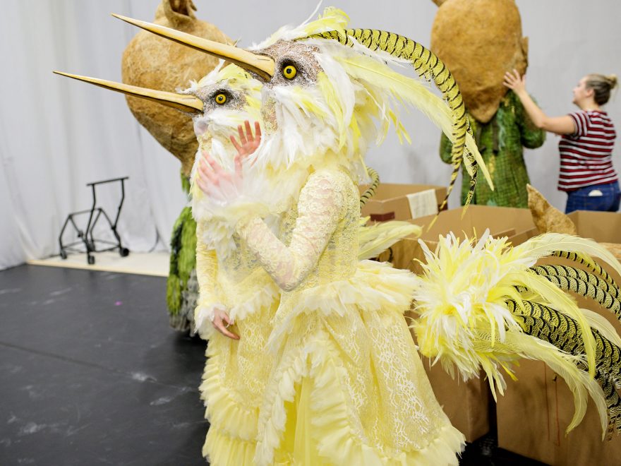 Costume parade: bird ladies of Cinderella