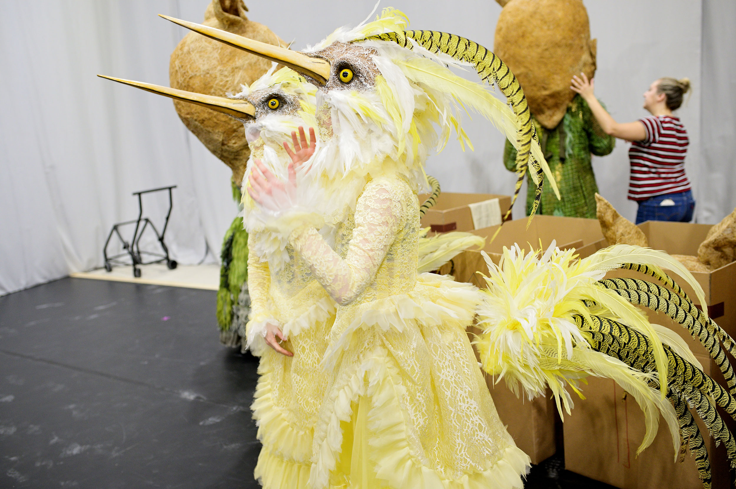 Costume parade: bird ladies of Cinderella