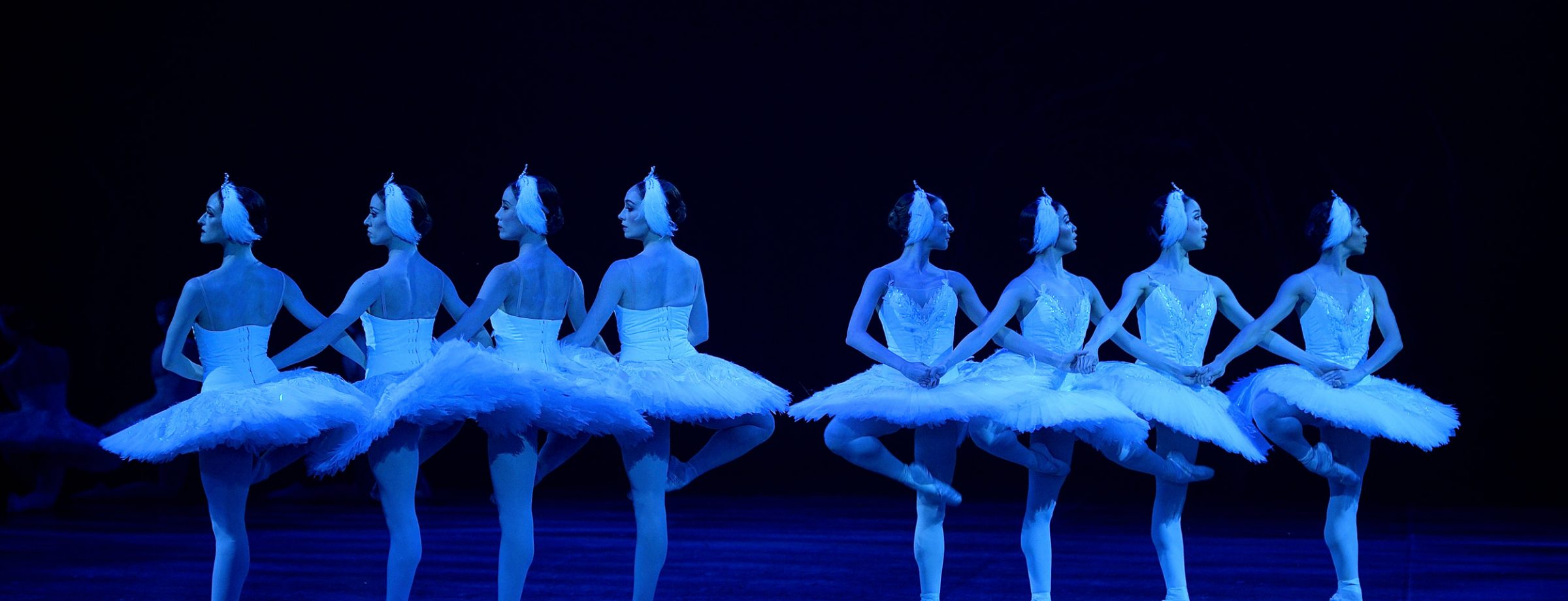 Swan Lake in-the-round © Laurent Liotardo