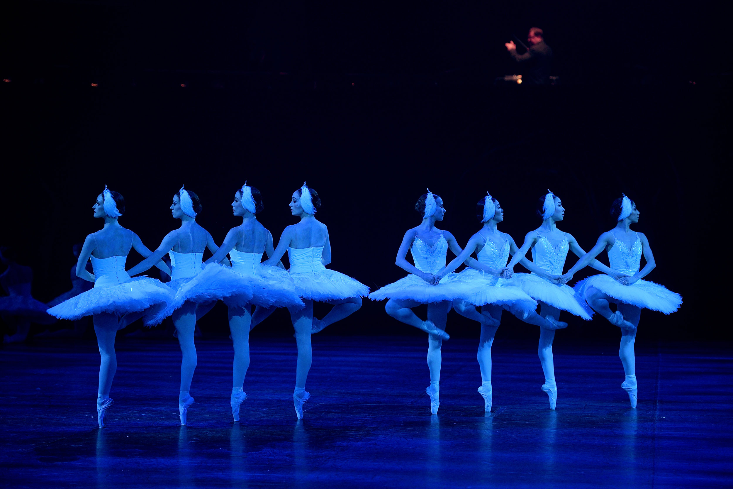 Eight Artists of English National Ballet perform the cygnet variation in Swan Lake in-the-round