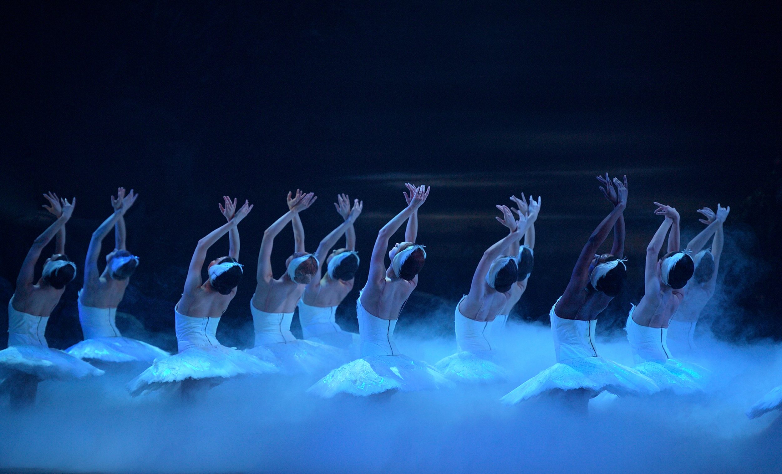 PRESS English National Ballet in Swan Lake © Laurent Liotardo (6)
